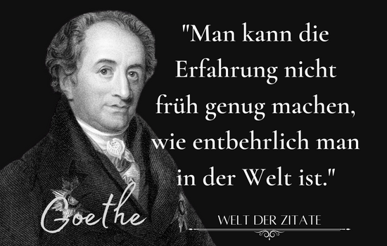 Goethe Zitat Erfahrung: 