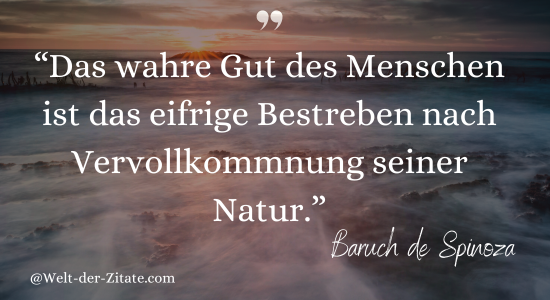 Baruch de Spinoza Zitat Demut: Demut ist, wenn jemand ohne Verlangen,