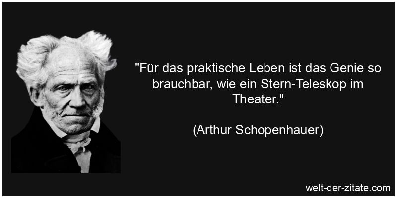 Arthur Schopenhauer Zitat Genie: Für das praktische Leben ist das