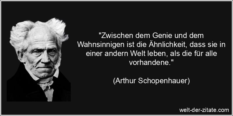 Arthur Schopenhauer Zitat Genie: Zwischen dem Genie und dem