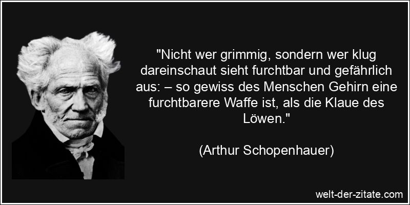 Arthur Schopenhauer Zitat Verstand: Nicht wer grimmig, sondern wer