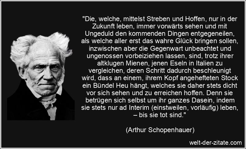 Arthur Schopenhauer Zitat Zukunft: Die, welche, mittelst Streben und