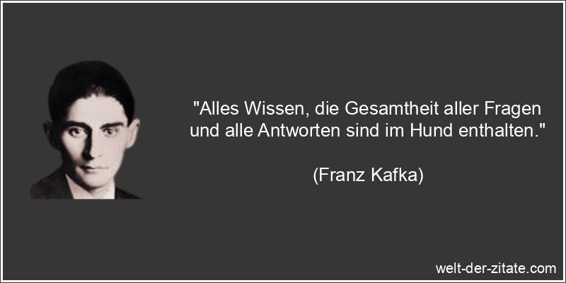 Franz Kafka Zitat Hunde: Alles Wissen, die Gesamtheit aller Fragen