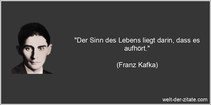Franz Kafka Zitat Sinn des Lebens: Der Sinn des Lebens liegt darin,