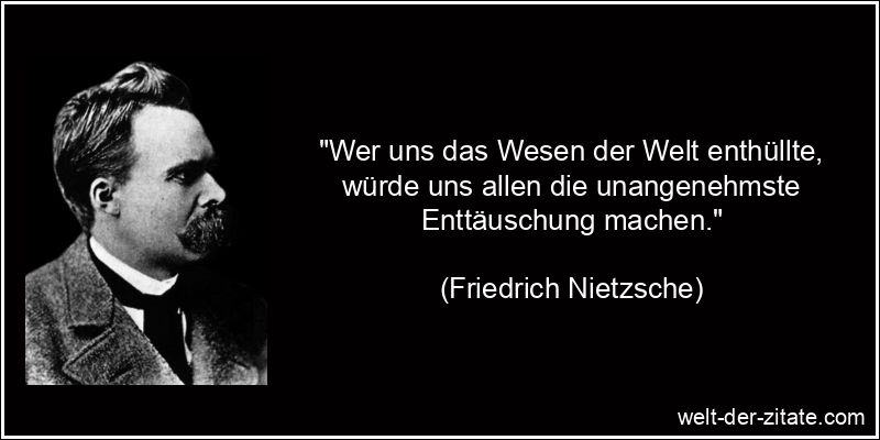 Friedrich Nietzsche Zitat Enttäuschung: Wer uns das Wesen der Welt