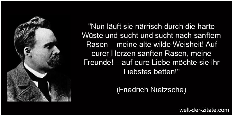 Friedrich Nietzsche Zitat Weisheit: Nun läuft sie närrisch durch