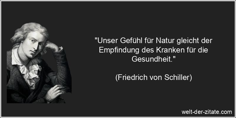 Friedrich von Schiller Zitat Natur: Unser Gefühl für Natur gleicht