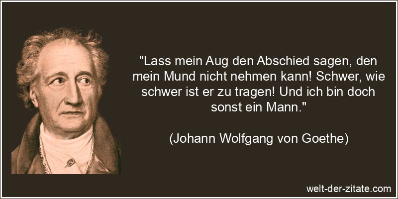 Johann Wolfgang von Goethe Zitat Abschied: Lass mein Aug den Abschied