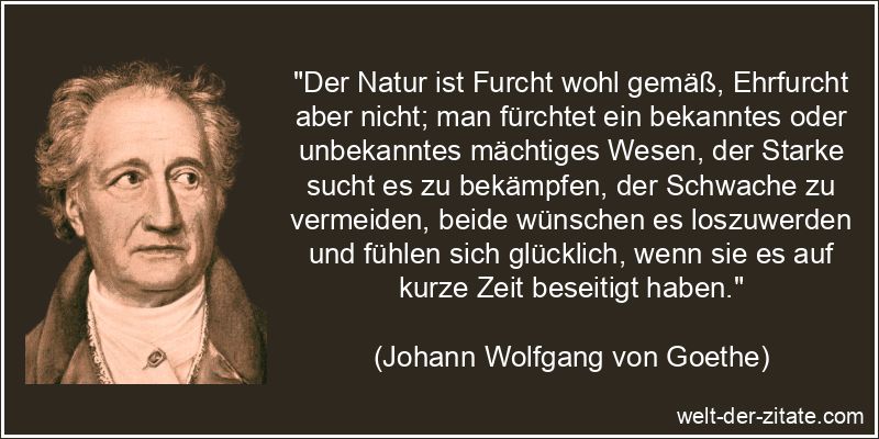 Johann Wolfgang von Goethe Zitat Angst, Panik & Furcht: Der Natur