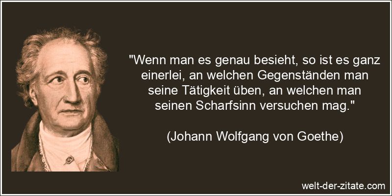 Johann Wolfgang von Goethe Zitat Arbeit: Wenn man es genau besieht,
