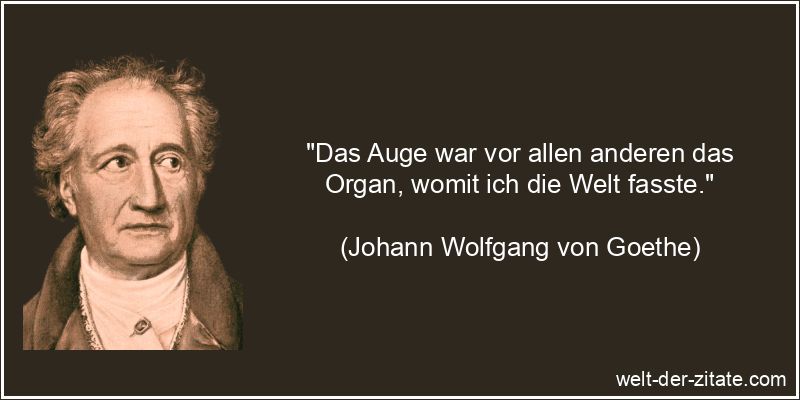 Johann Wolfgang von Goethe Zitat Augen: Das Auge war vor allen