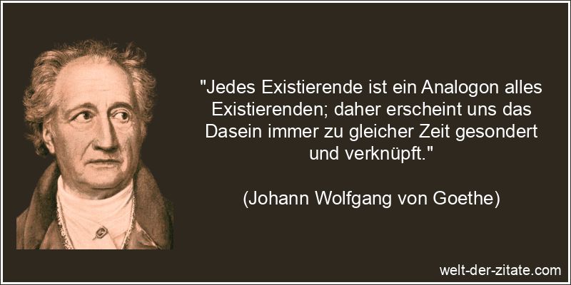 Johann Wolfgang von Goethe Zitat das Leben: Jedes Existierende ist