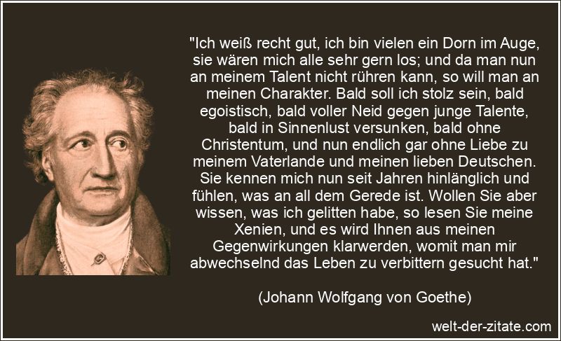 Johann Wolfgang von Goethe Zitat Feindschaft: Ich weiß recht gut,