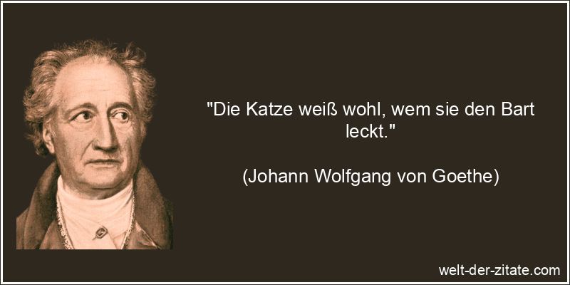 Johann Wolfgang von Goethe Zitat Katzen: Die Katze weiß wohl, wem