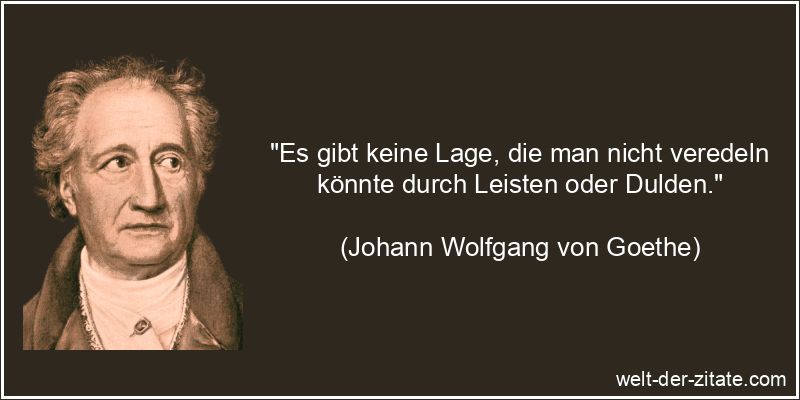 Johann Wolfgang von Goethe Zitat Leistung: Es gibt keine Lage, die