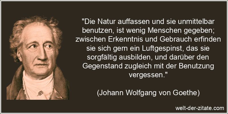 Johann Wolfgang von Goethe Zitat Natur: Die Natur auffassen und sie