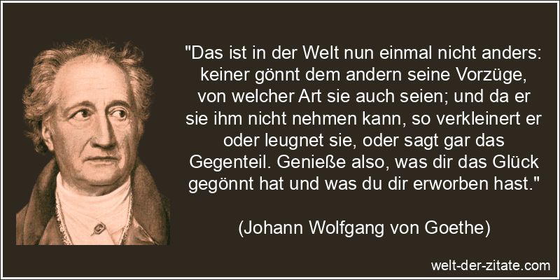 Johann Wolfgang von Goethe Zitat Neid: Das ist in der Welt nun einmal