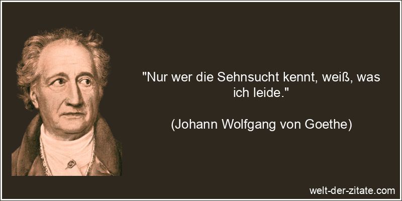 Johann Wolfgang von Goethe Zitat Sehnsucht: Nur wer die Sehnsucht