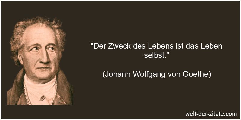 Johann Wolfgang von Goethe Zitat Sinn des Lebens: Der Zweck des