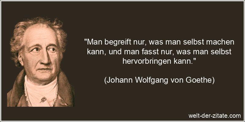 Johann Wolfgang von Goethe Zitat Verstehen: Man begreift nur, was man
