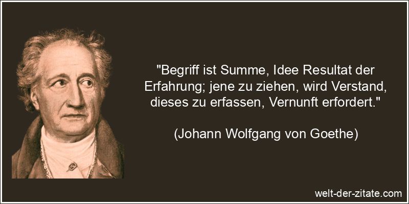 Johann Wolfgang von Goethe Zitat Verstehen: Begriff ist Summe, Idee