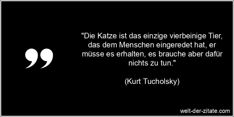 Kurt Tucholsky Zitat Katzen: Die Katze ist das einzige vierbeinige