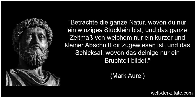 Mark Aurel Zitat Natur: Betrachte die ganze Natur, wovon du nur ein