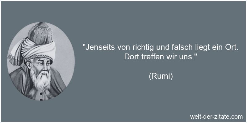 Rumi Zitat Beziehungen: Jenseits von richtig und falsch liegt ein