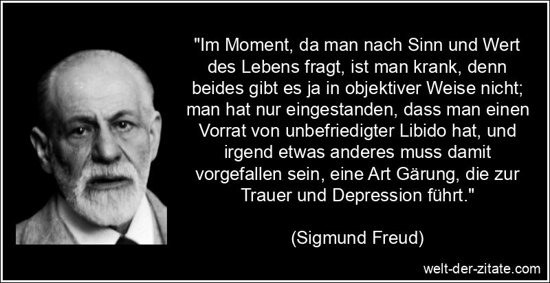Sigmund Freud Zitat Sinn des Lebens: Im Moment, da man nach Sinn und