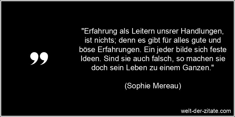 Sophie Mereau Zitat Erfahrung: Erfahrung als Leitern unsrer