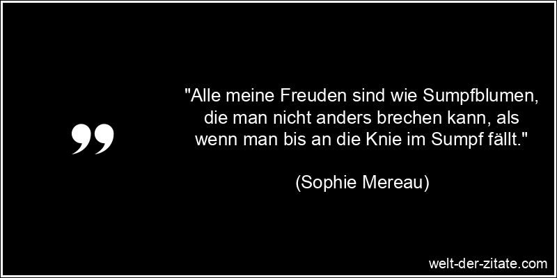 Sophie Mereau Zitat Freude: Alle meine Freuden sind wie Sumpfblumen,