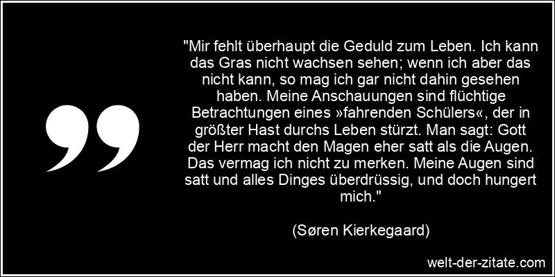 Søren Kierkegaard Zitat Geduld: Mir fehlt überhaupt die Geduld zum