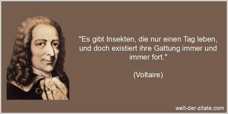 Voltaire Zitat das Leben: Es gibt Insekten, die nur einen Tag leben,