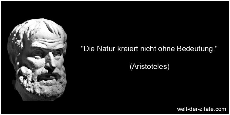 Aristoteles Zitat Natur: Die Natur kreiert nicht ohne Bedeutung.