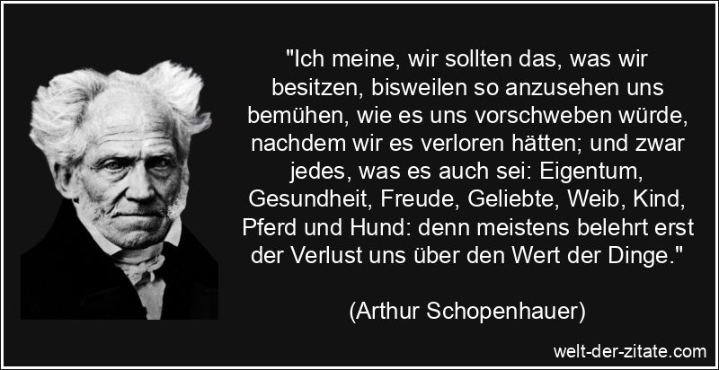 Arthur Schopenhauer Zitat Verlust: Ich meine, wir sollten das, was