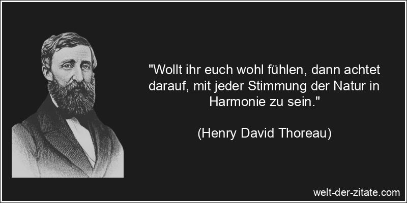 Henry David Thoreau Zitat Natur: Wollt ihr euch wohl fühlen, dann