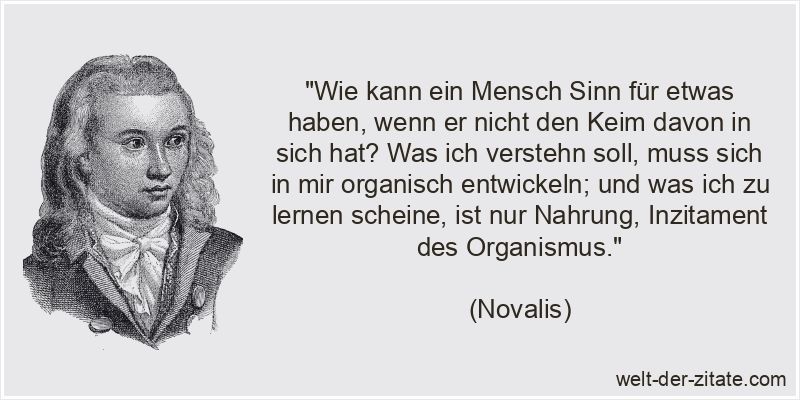 Novalis Zitat Lernen: Wie kann ein Mensch Sinn für etwas haben, wenn