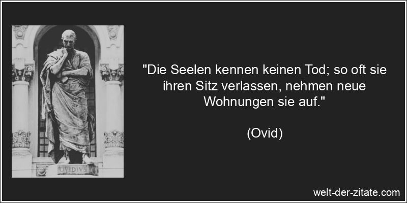 Ovid Zitat Seele: Die Seelen kennen keinen Tod; so oft sie ihren Sitz