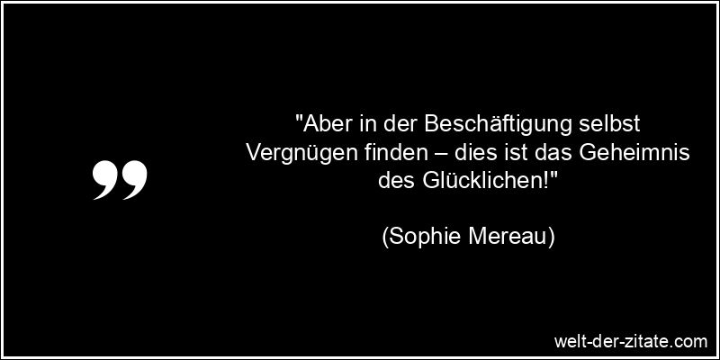 Sophie Mereau Zitat Beschäftigung: Aber in der Beschäftigung selbst