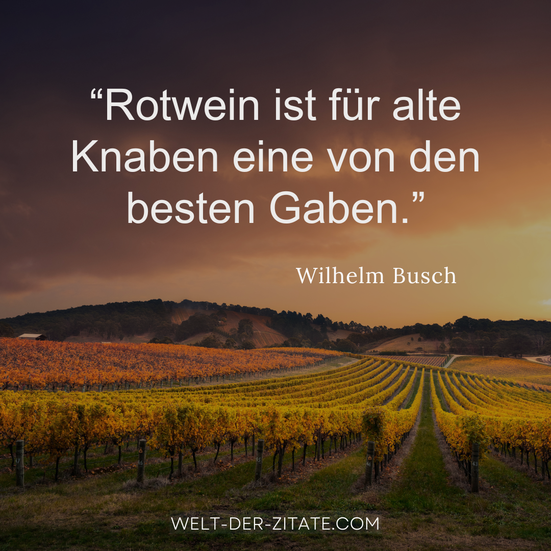 Wilhelm Busch Zitat Wein: Rotwein ist für alte Knaben eine von den