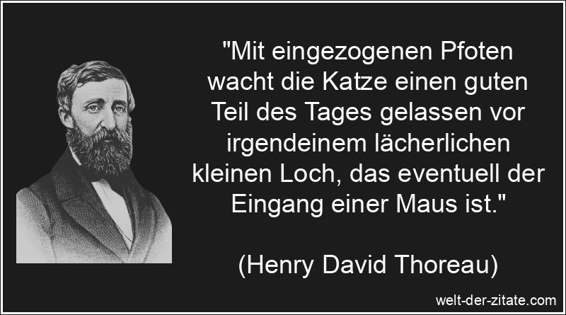 Henry David Thoreau Zitat Katzen: Mit eingezogenen Pfoten wacht die