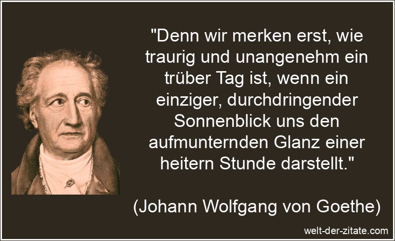 Johann Wolfgang von Goethe Zitat Traurigkeit: Denn wir merken erst,