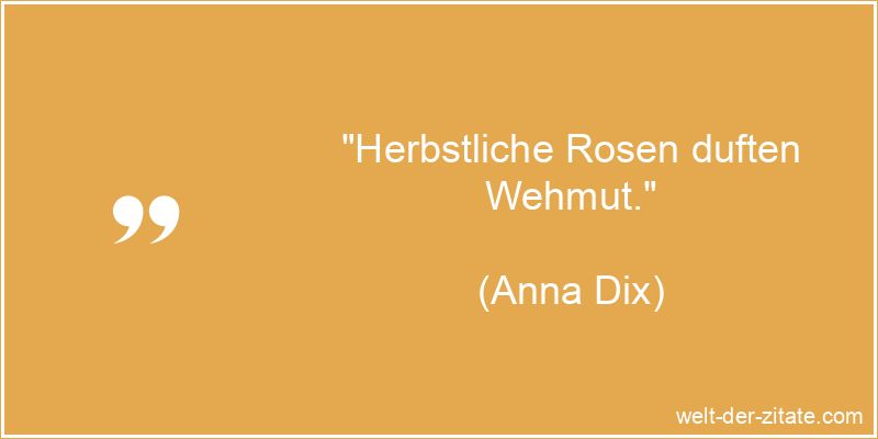 Anna Dix Zitat Wehmut: Herbstliche Rosen duften Wehmut.
