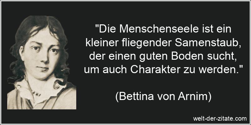 Bettina von Arnim Zitat Charakter: Die Menschenseele ist ein kleiner