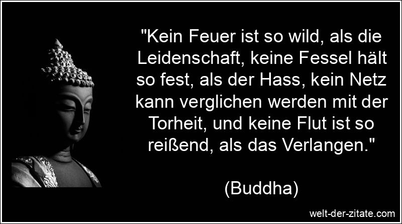 „Kein Feuer ist so wild, als die Leidenschaft, keine Fessel hält so fest, als der Hass, kein Netz kann verglichen werden mit der Torheit, und keine Flut ist so reißend, als das Verlangen.“ Buddha Zitat & Buddhistische Weisheiten: Kein Feuer ist so wild,