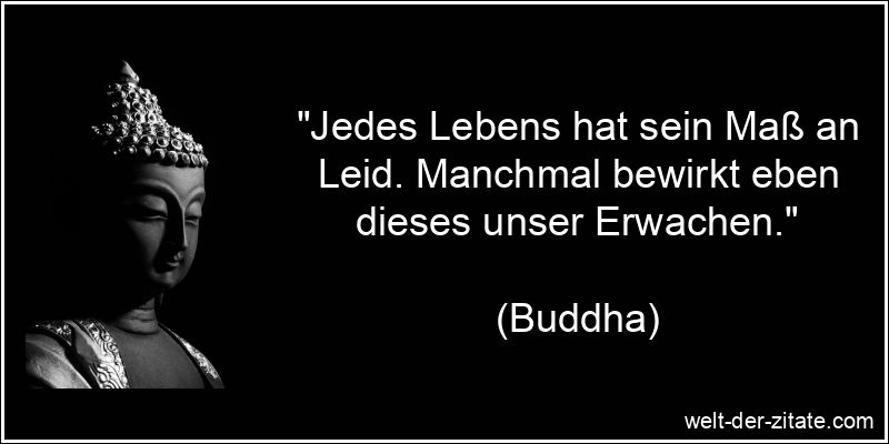 „Jedes Lebens hat sein Maß an Leid. Manchmal bewirkt eben dieses unser Erwachen.“ Buddha Zitat Hoffnung, Leid & Leiden: Jedes Lebens hat sein Maß