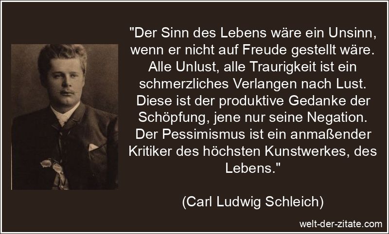 Carl Ludwig Schleich Zitat Sinn des Lebens: Der Sinn des Lebens wäre