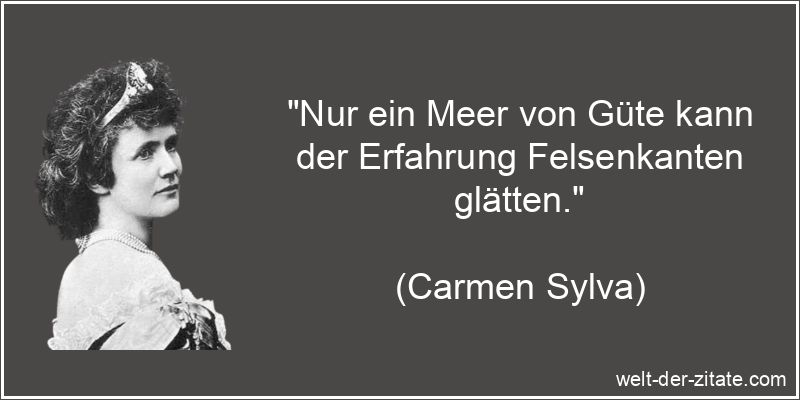 Carmen Sylva Zitat Erfahrung: Nur ein Meer von Güte kann der