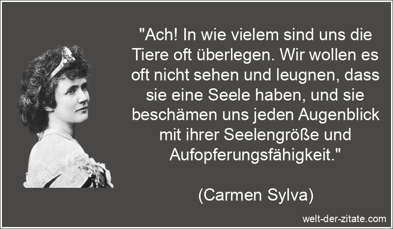 Carmen Sylva Zitat Tiere: Ach! In wie vielem sind uns die Tiere oft