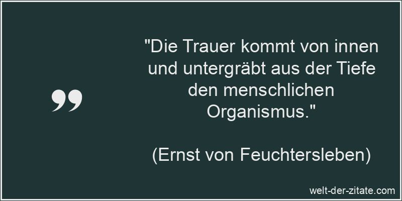 Ernst von Feuchtersleben Zitat Trauer: Die Trauer kommt von innen und